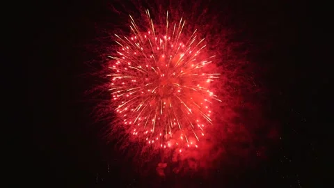 The fireworks in the night sky Stock Footage 169455597
