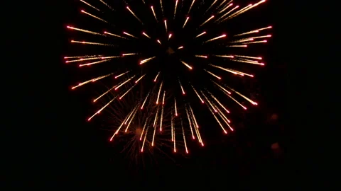Fireworks in the night sky. Stock Footage 197551976