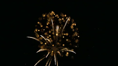 Fireworks in the night sky. Stock Footage 197551987