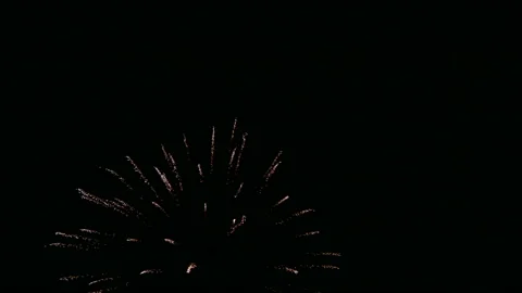 Fireworks in the night sky. Stock Footage 197552011