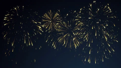 Fireworks in the night sky. Stock Footage 217503277