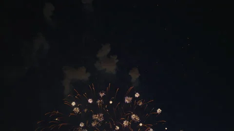 Fireworks in the night sky Stock Footage 218195691