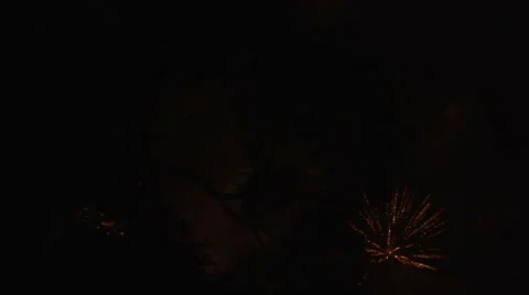 Fireworks in the night sky highlighting tree branches Video stock 40775141