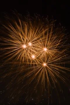 Fireworks in the night sky Stock Photos