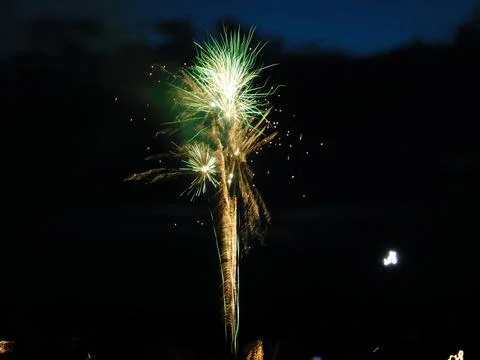 Fireworks in the night sky Stock Photos