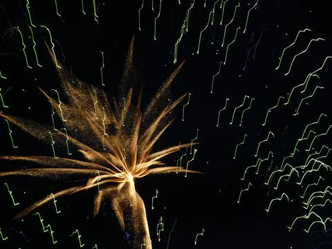 Fireworks in the night sky Stock Photos