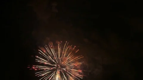 Fireworks or salut. Multi Colored explosions and smoke in night sky. Symbol of Stock Footage 109225231