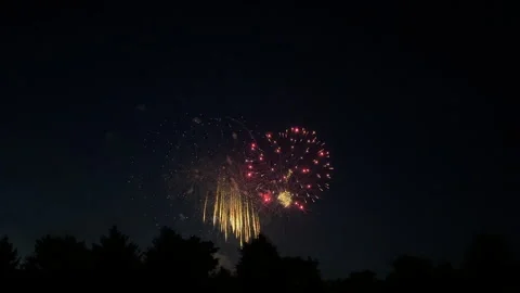 Fireworks over trees at night Stock Footage 301924560