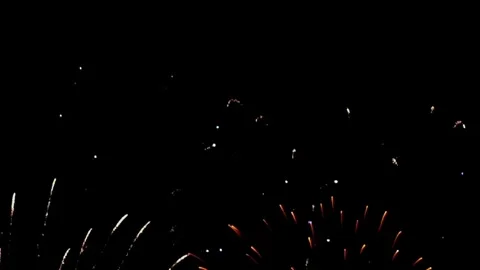 Fireworks paint the Night Sky During Independence Day Stock Footage 320009460