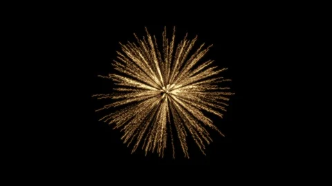 Fireworks Palm Stockbeeldmateriaal 98494144