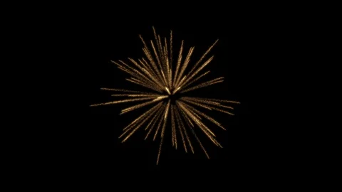 Fireworks Palm Stock Footage 98494147