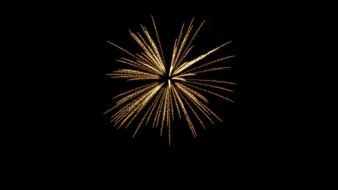 Fireworks Palm Stock Footage 98494156