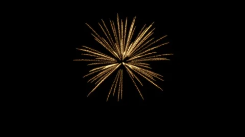 Fireworks Palm Stock Footage 98494161