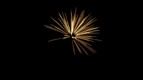 Fireworks Palm Stock Footage 98494162