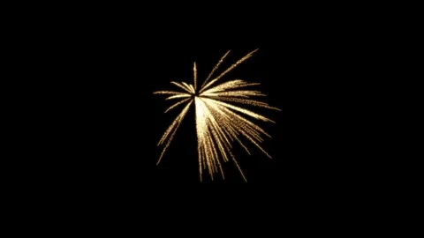 Fireworks Palm Stock Footage 98494169