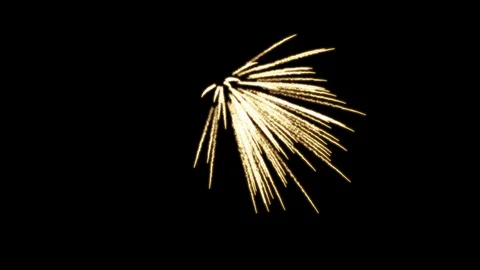 Fireworks Palm Stock Footage 98494175