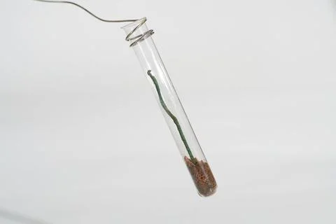 Fireworks Stock Photos