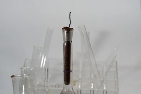 Fireworks Stock Photos