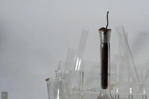 Fireworks Stock Photos