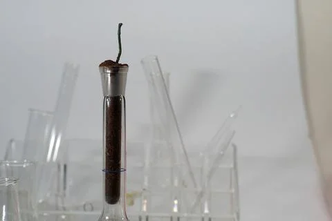 Fireworks Stock Photos