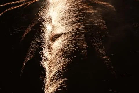 Fireworks Stock Photos