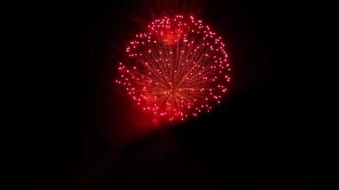 Fireworks Qled Black Background Stock Footage 276336675
