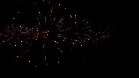 Fireworks - red flash and gold Stock Footage 254511663