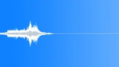 Fireworks - rocket whooshSound Effect