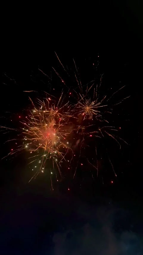 Fireworks Shape Vertical Orientation 스톡 동영상 295513478