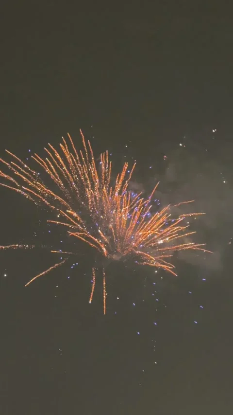 Fireworks show on cloudy snowfall winter background Stock-Footage 294175951