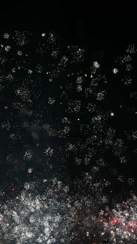 Fireworks show at a vertical composition Stock Footage 122225144