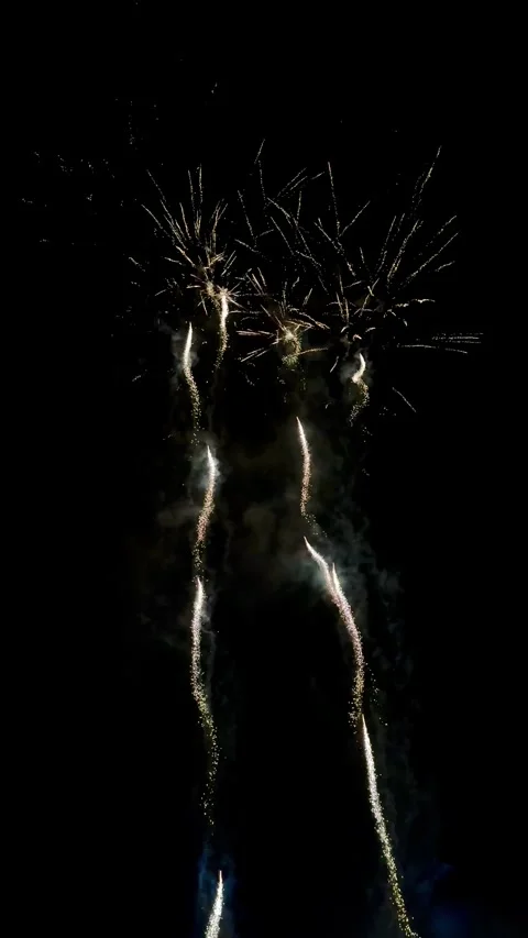 Fireworks Show Vertical Orientation 스톡 동영상 295513479