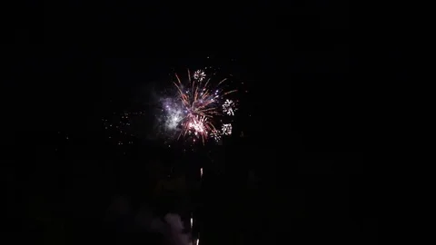 Fireworks show in a wood Stock Footage 101974451