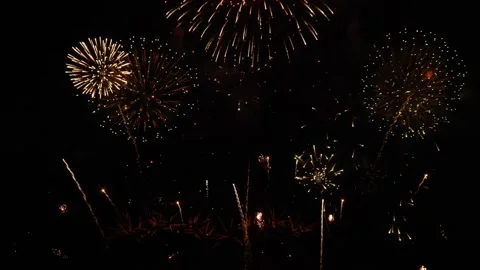 Fireworks in the sky in a 3D animation Stock Footage 239019408