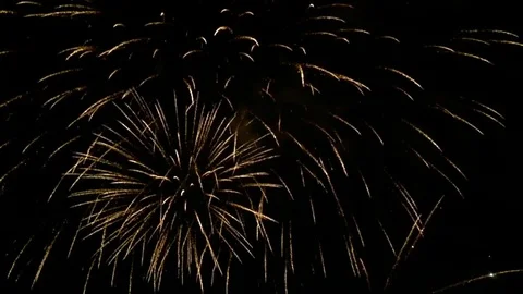 Fireworks in the sky Stock Footage 78783823
