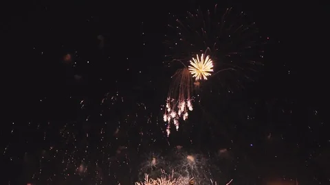 Fireworks in slow motion on the black sky Stock Footage 79645901