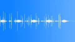 FIREWORKSSound Effect