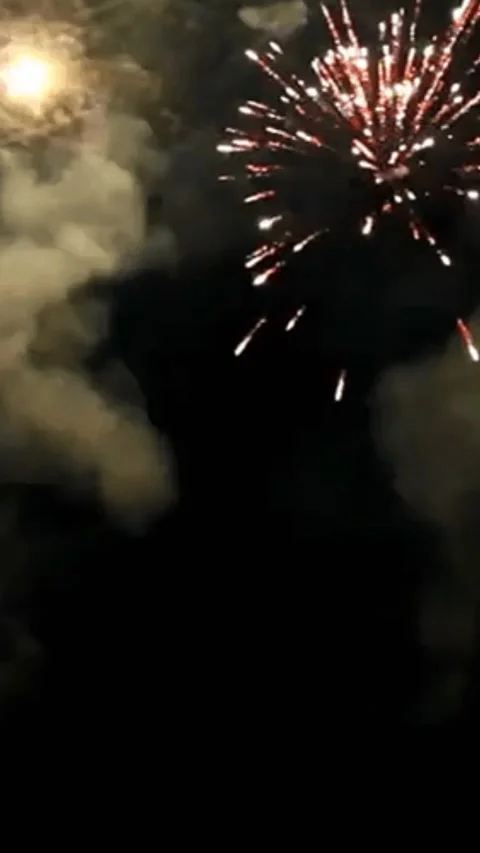Fireworks Spark Burst Vertical 库存影片 344763294