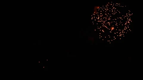 Fireworks sparkle in night sky Stock Footage 319690807