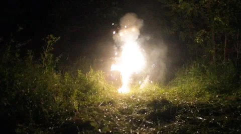 Fireworks sparks and flashes in a grassy cove Stock Footage 40205368