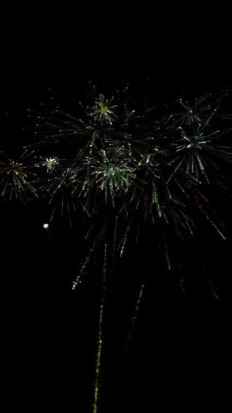 Fireworks Vertical Display On Black Background Stock Footage 262546824