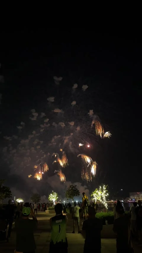 Fireworks on Yas Bay during Eid 動画素材 313387933