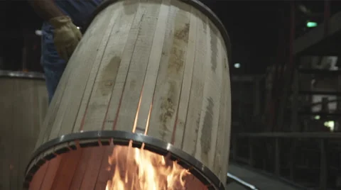 Firing Barrel Stock Footage 62996728