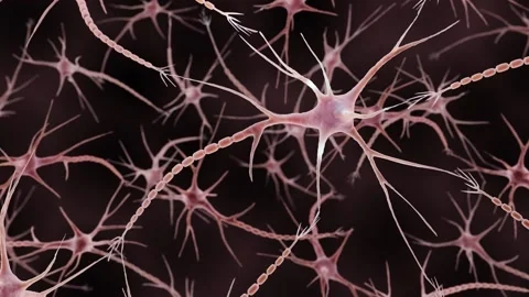 Firing neuron Stock Footage 203948177