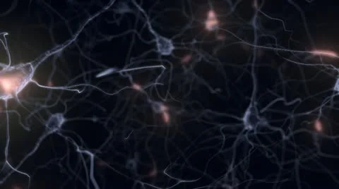 Firing Neurons (looping) Stock Footage