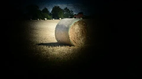 Firing shutter on vintage plate camera uk Stock Footage 205469589