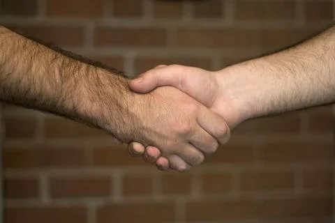 Firm Handshake Stock Photos