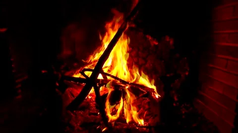 Firre stone Stock Footage 261355042