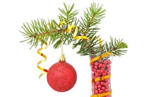 Firry branch Stock Photos