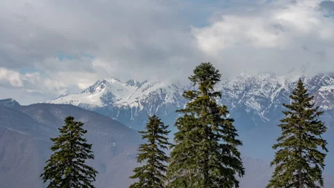 Firs trees in front of mountains and clouds. Stock Footage 142563023